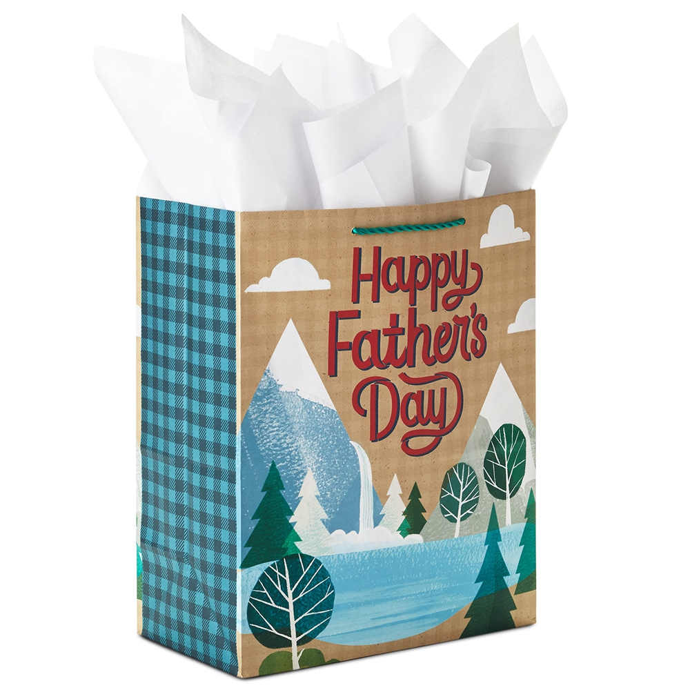 CMYK 4 Color Offset Printing Custom Colored Organic Eco Luxury Gift Paper Shopping Bags