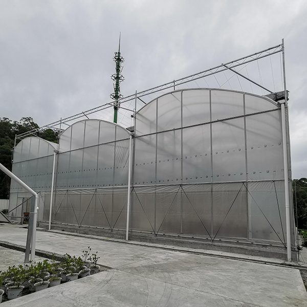 Tropical Sawtooth Hydroponic Greenhouse Kit Customizable 200micron Film Type