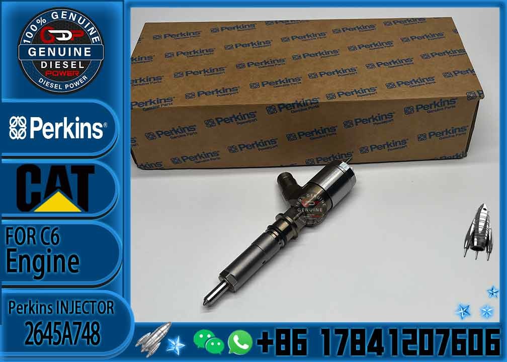 Common rail injector fuel injecto 10R-7675 2645A748 2645A743 320-0670 for C4.2 C6.4 Excavator C4.2 C6.4 320D