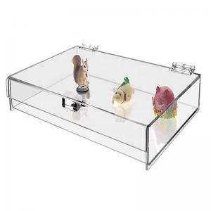 China Large Clear Acrylic Hinged Box With Hinged Lid And Lock Storage 16x8 on sale