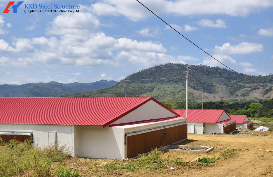 Steel Structure Broiler Chicken House with Automated Feeding System