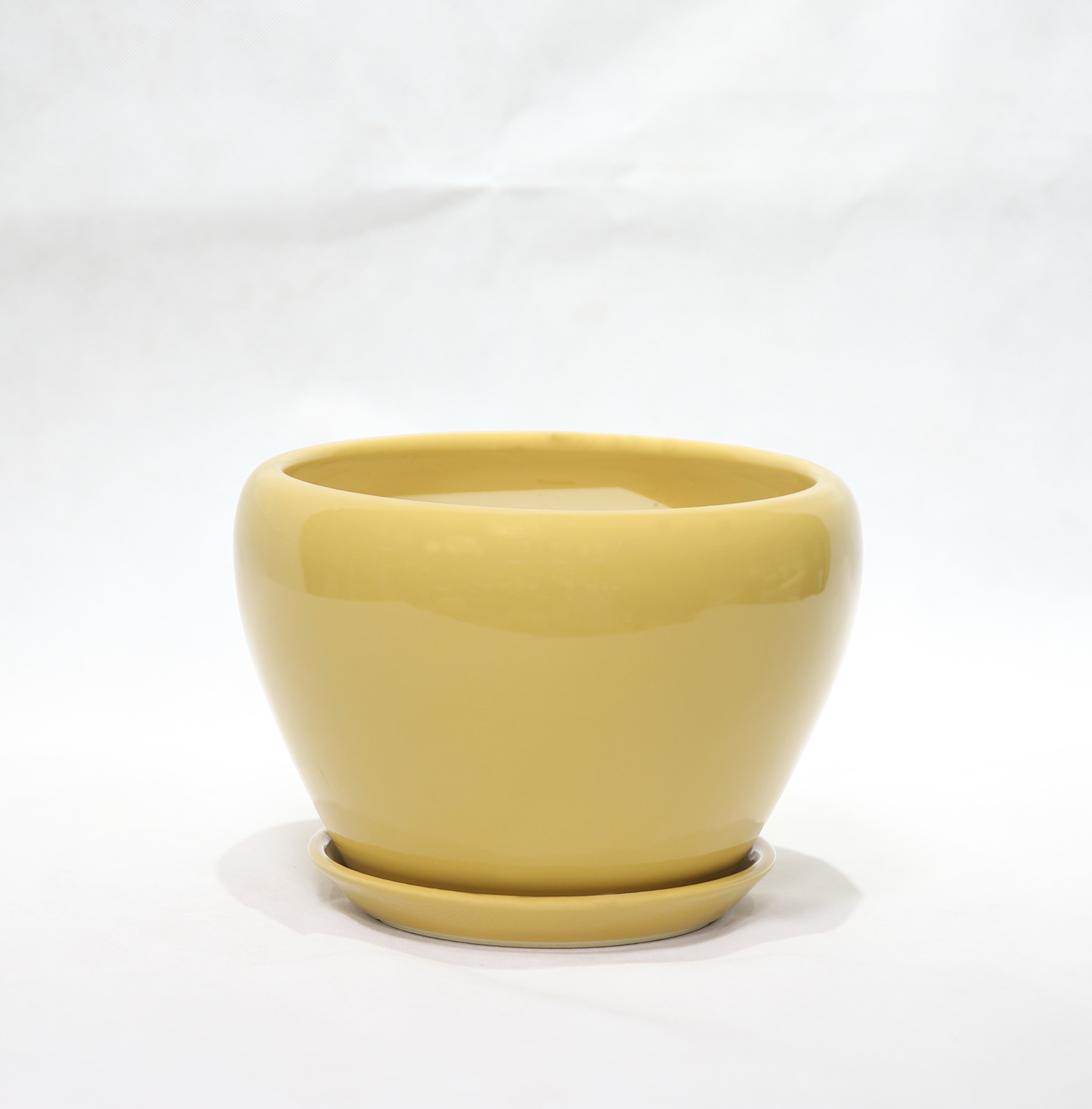 Stylish And Functional Ceramic Pots Perfect For Any Plant And Any Space