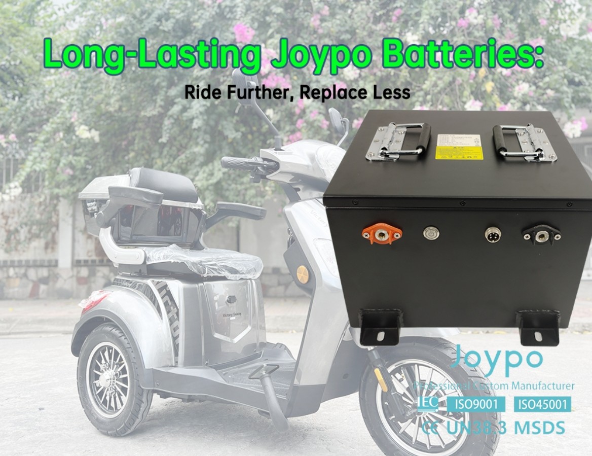 Cycle Life 4000 Times Long Last 48V 50Ah Lithium Battery For Electric Three Wheeler 25A Charge Current