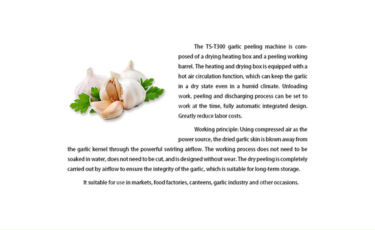 2.2KW Garlic Peeling Machine Industrial Factory Food Processor