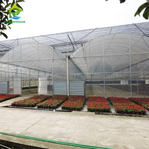 Quality Strawberry Tomato Cucumber Growing Plastic Film Greenhouse For Commercial for sale