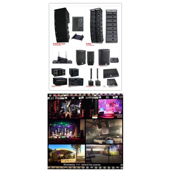 Small Church Sound Systems Pro Dsp Processor , Column Speaker System
