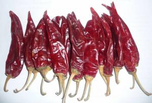 Quality Vacuum Sealed Bag Dried Guajillo Chili Peppers Aroma Fruity & Smoky Moisture 8% - 12% for sale