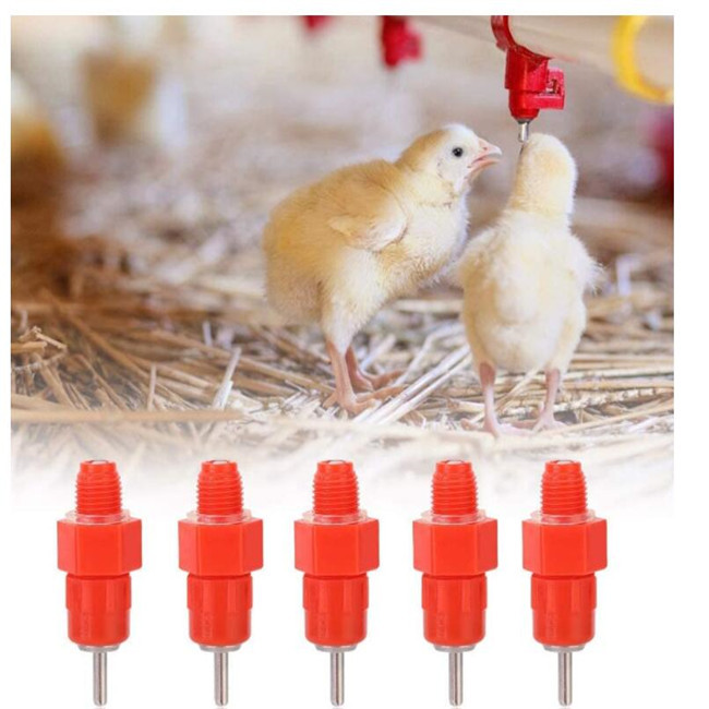 OEM Poultry Water Drinkers 360 Degree Automatic Hog Waterer