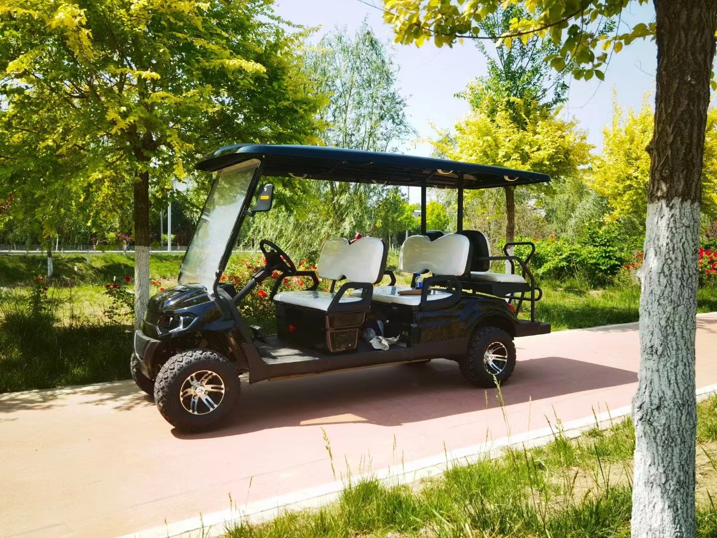 Customized Off Road Black 6 Seaters Golf Cart With AC Motor 3.5 KW Lead Acid Battery