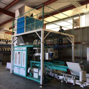 Quality 25kg Beans Granular Automatic Bagger Machine for sale