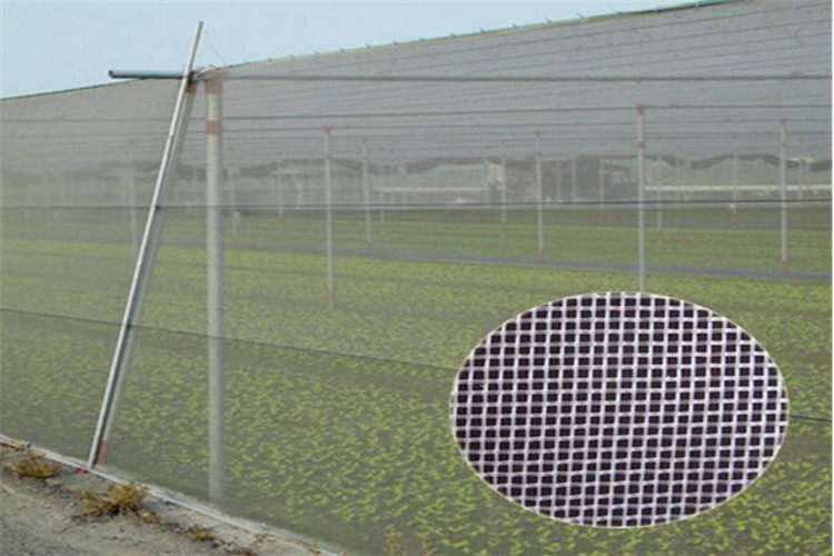  insect nets