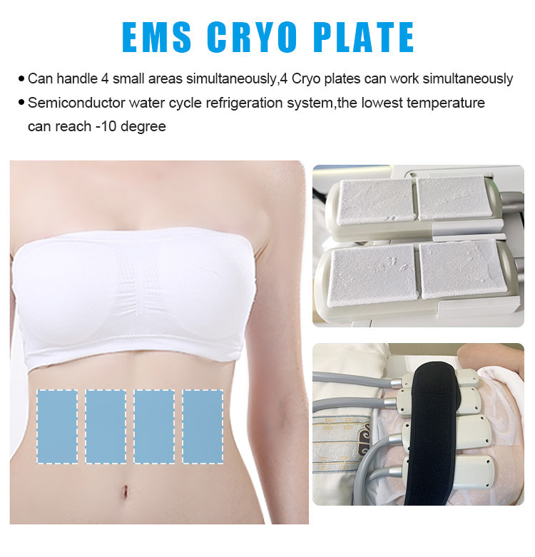 10D Maxlipo Master Laser Weight Loss Machine , EMS Cryo Weight Loss Machine 1100W