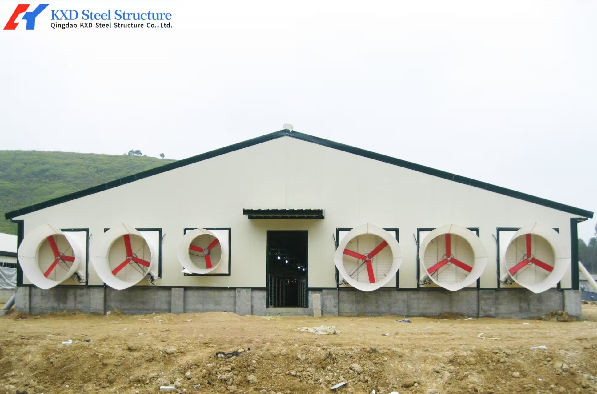 Quality Steel Structure Broiler Chicken House with Automated Feeding System for sale