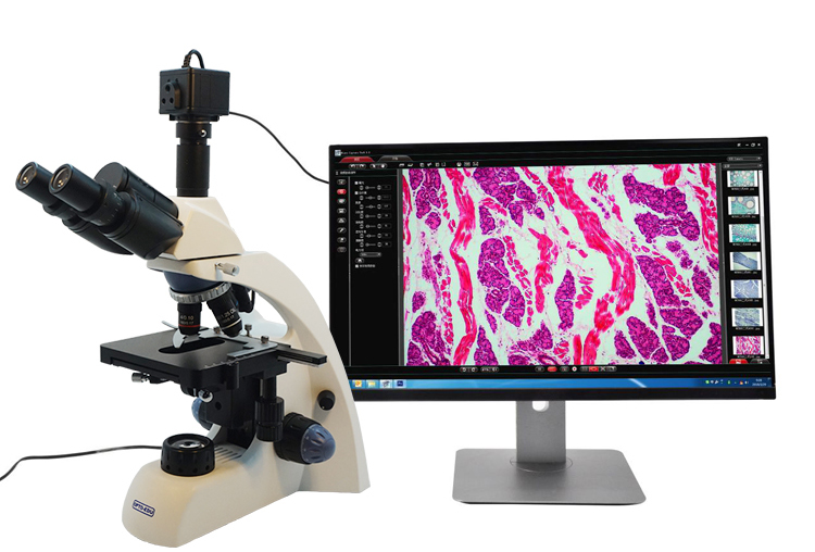 measurement microscope camera