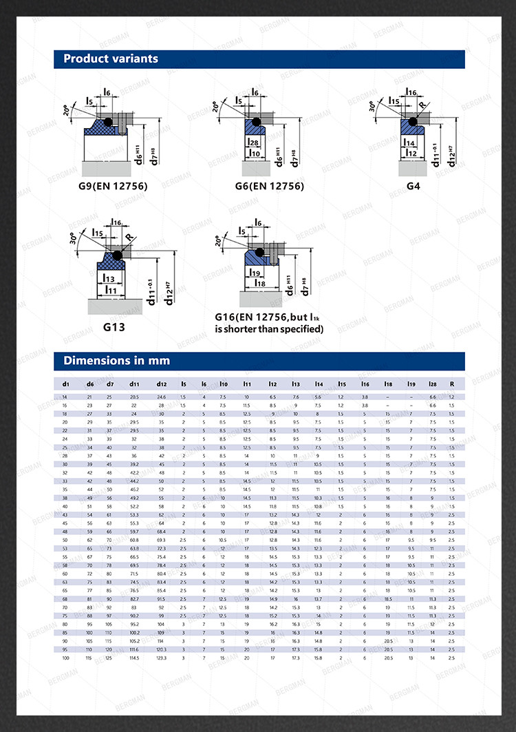 M7N M74 14mm-200mm G60 G4 G6 G9 G13 G16 BS Bo BP Pump Mechanical Seal
