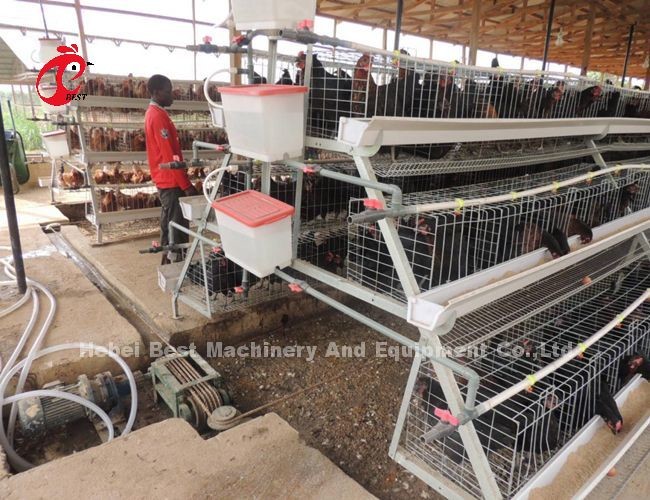 H Type Layer Battery Cage System With Poultry Equipment For 5000-20000 Birds Farm Iris