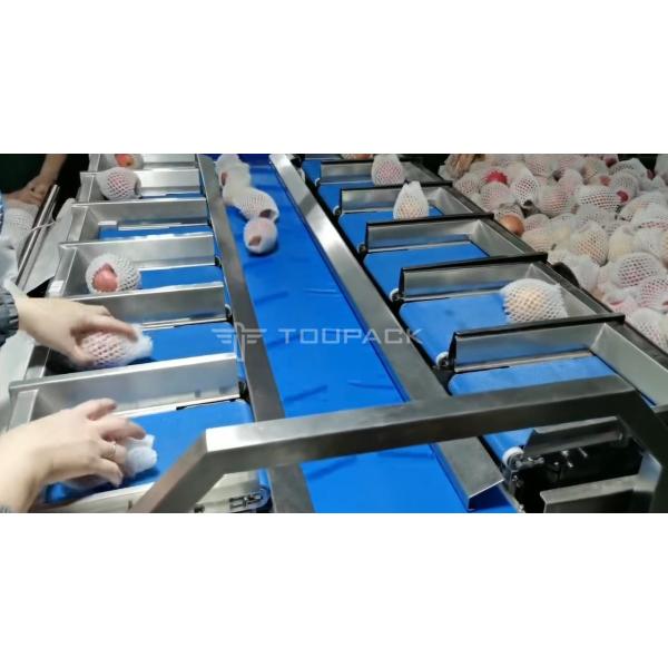 Pear Apple Weighing Fruit Combination Scale 12 Head Hand Loading Weighing Machine