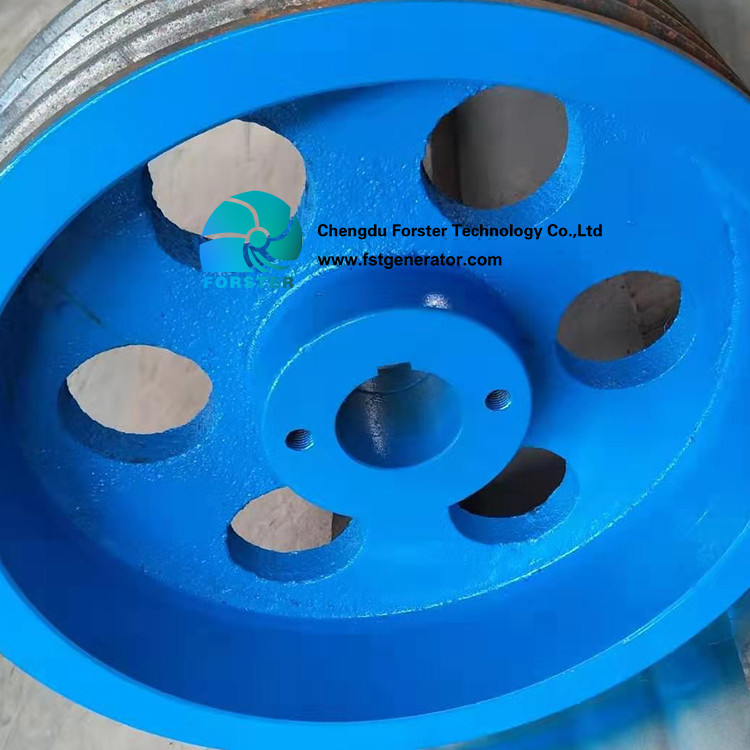 Low RPM 300KW Kaplan Turbine Generator Alternative Power Production
