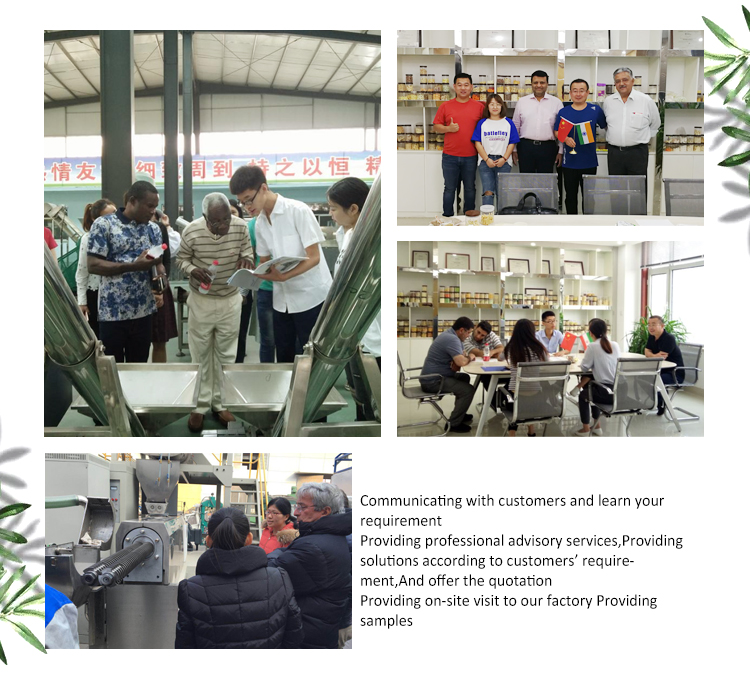 Automatic Dog Food Manufacturing Equipment with Versatile Functionality and Condition