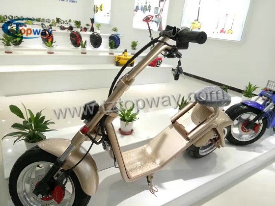 Popular Halley Electric Scooter 1000W 60V Fat Tyre Citycoco