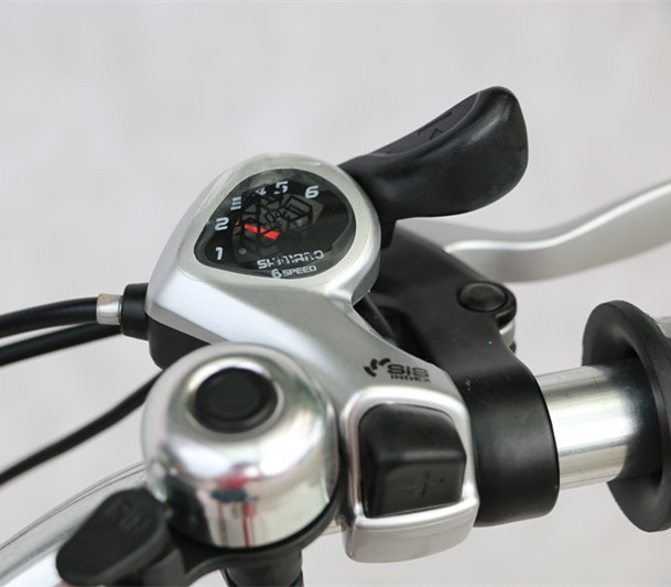 Brushless Motor Electric Folding Bike 20 inch 250W - 500W Foldable Electric Bicycle