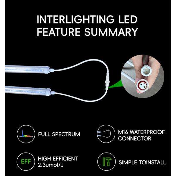 4FT 0.9M 1.2M 12W 18W 25W 36W T8 LED Tube Lights Indoor Vertical Farm 6500K 460nm 660nm