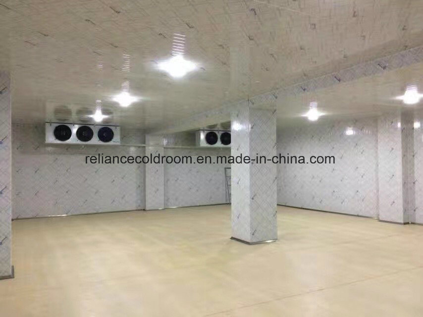 3000cbm Logistics Center Cold Room Warehouse
