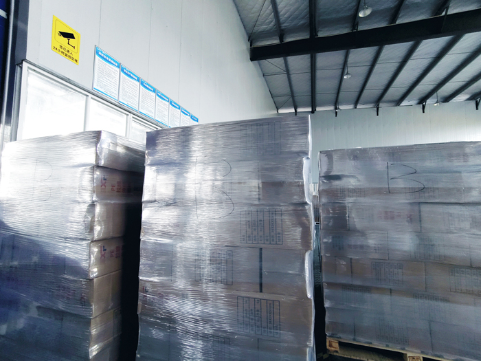 Wholesale disposable gloves, plastic gloves, biodegradable gloves, compostable gloves, bio gloves, corn starch gloves