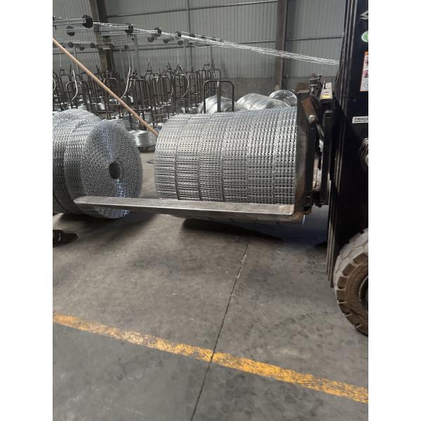 Six Lines CWC Pipeline Reinforced Mesh Hot Dip Galvanized 190.5mm Mesh Width
