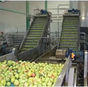 China Natural Flavor Mango Processing Line 63% Brix on sale