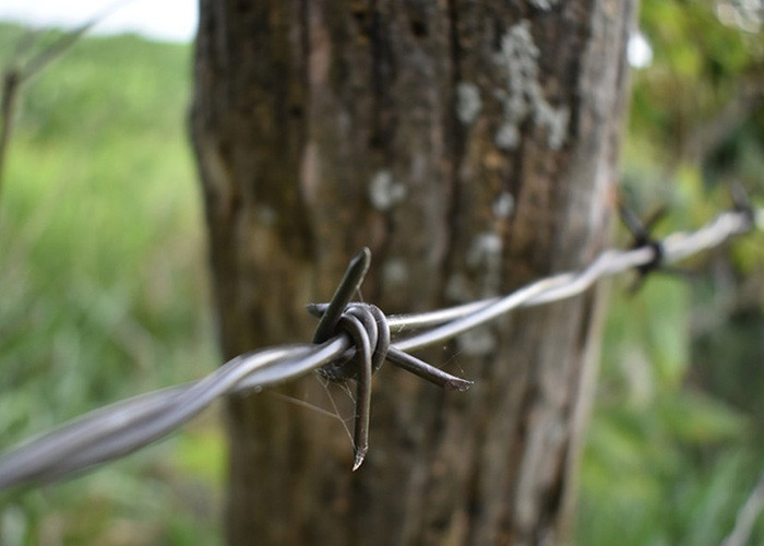 Use Of Prison Walls Double Strand Reverse Twist Stainless Steel Barbed Wire