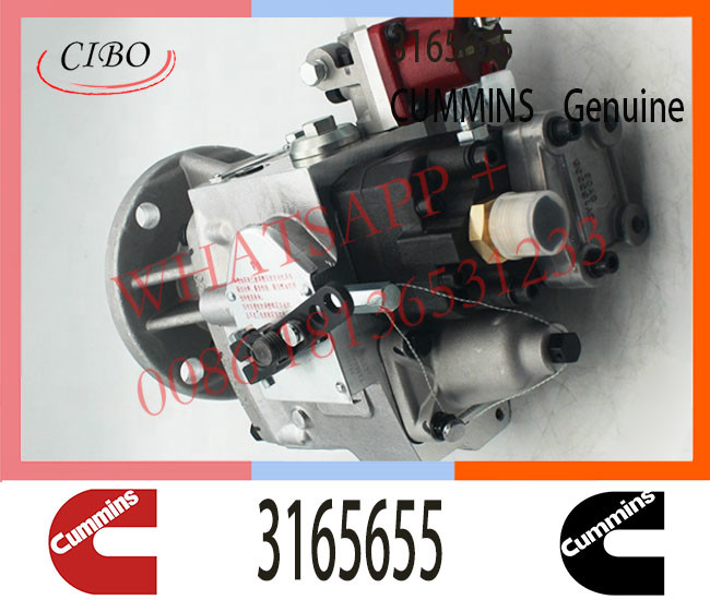 3165655 Diesel Pump for Cum-mins KTA19 M11-C300 Engine PT Fuel Injector 3165655 3165621 3261946 3262175 3417792 4060307
