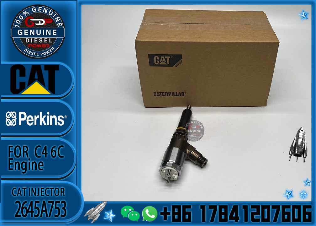 diesel injector 2645A753 common rail injector 321-3600 for Caterpillar engine C6.6 for Caterpillar C6.6 953D D6K D6K LGP