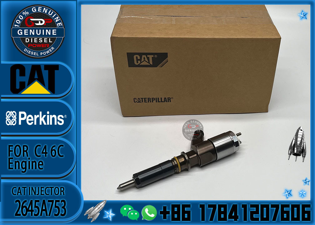 diesel injector 2645A753 common rail injector 321-3600 for Caterpillar engine C6.6 for Caterpillar C6.6 953D D6K D6K LGP