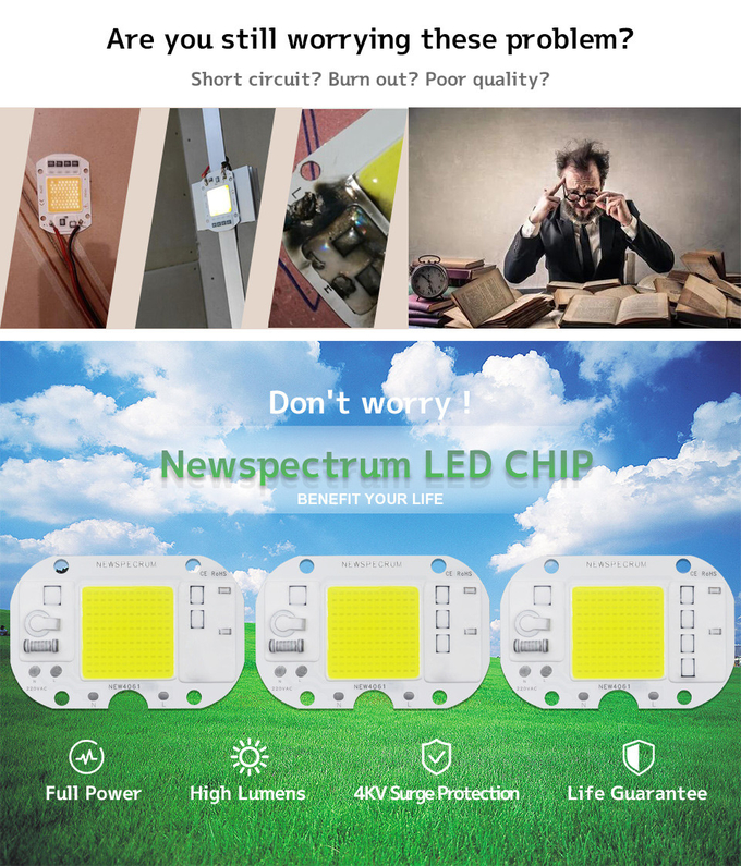 220V UV LED Module Reliable Consistent Cob Led 50w For Rple Light Sterilization