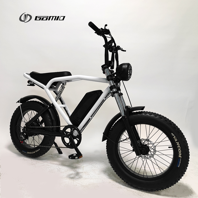 Electric City Bike 500w 48v Fat Tire Ebike Mtb E-Bike Full Suspension Off Road Motorcycle