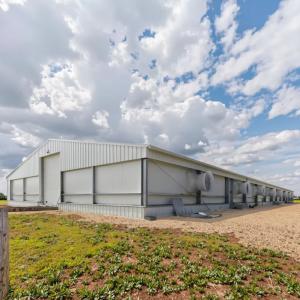 Quality Custom Prefab Steel Poultry Shed Q235B Q355 Galvanized for sale