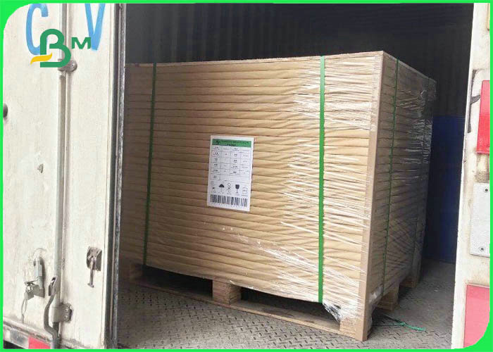 pe coated brown kraft paper 