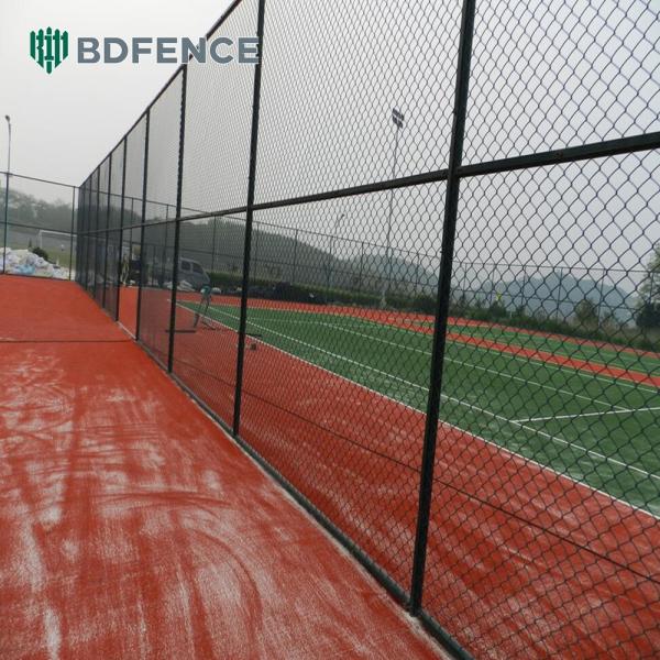 Nature Reserve Chain Link Fence Wildlife