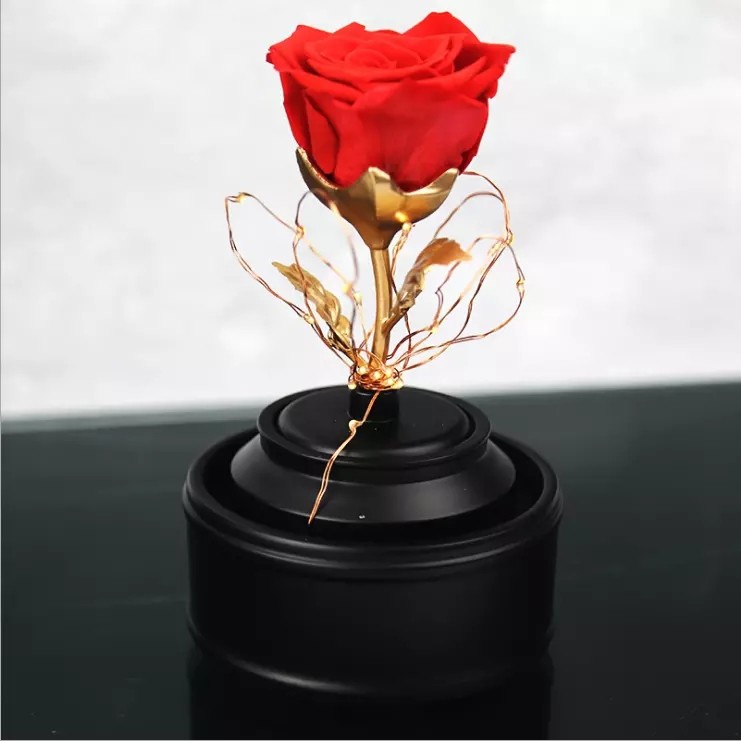 High quality long lsting preserved rose in glass with lid light