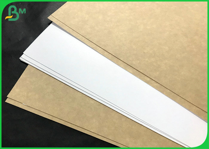 Virgin Kraft Board White Top Coated Surface Kraft Paper for Food Lunch Packaging