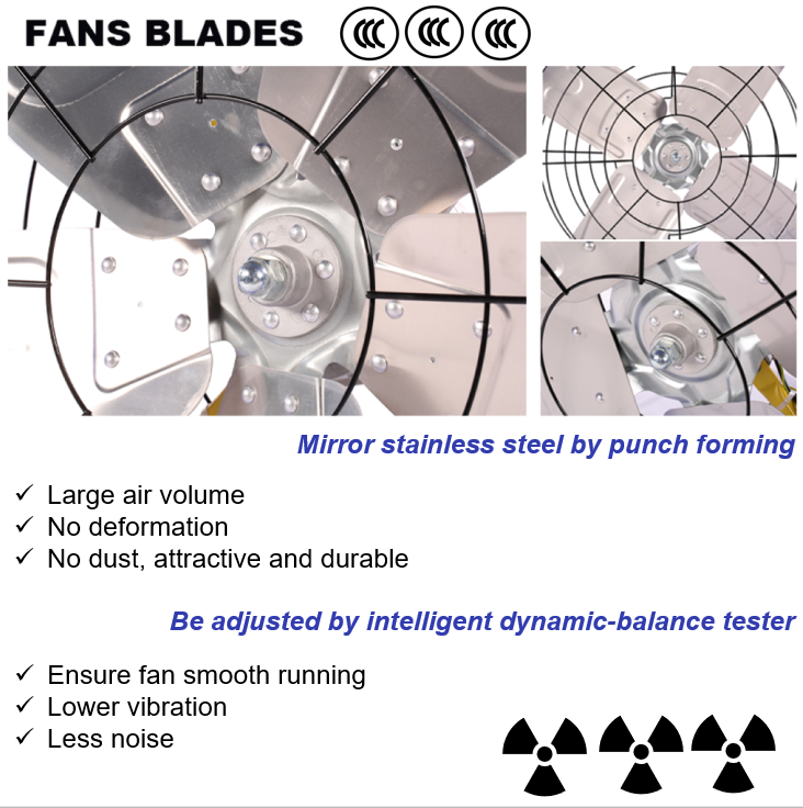Water Cooling System Industrial Exhaust Fan EC Or DC Motor Poultry Fan