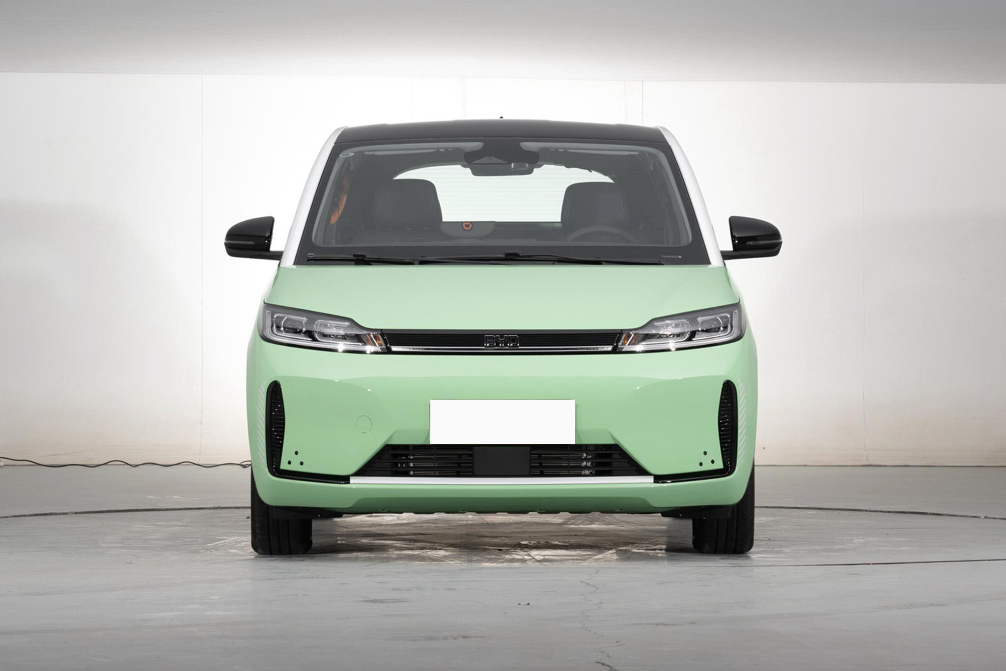 D1 BYD New Energy Vehicles 418KM Durable Electric EV Car MPV Version