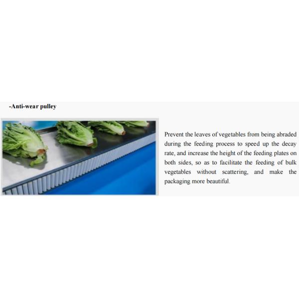 Full Automatic Vegetable Flow Pack Packing Machine Horizontal Pillow Bag Type Vegetable Packaging Machine