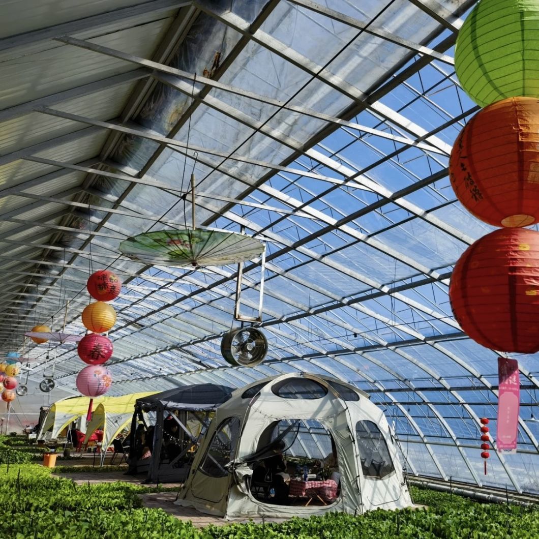 Vegetable Sunlight Greenhouse Hydroponics Sparay Irrigation