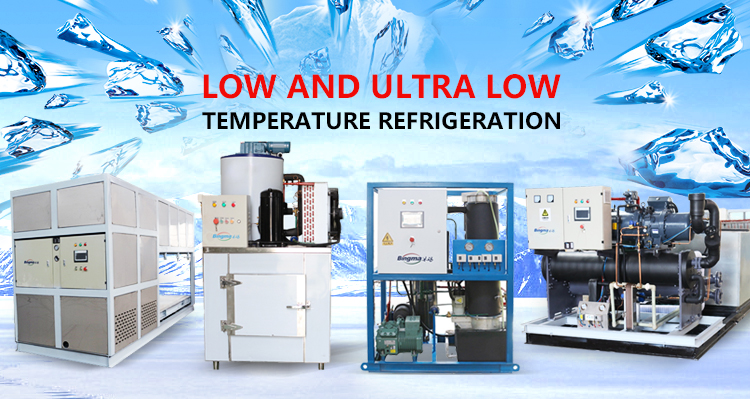 Hot Sales Products Freshwater Flake Ice Making Machine and transparent