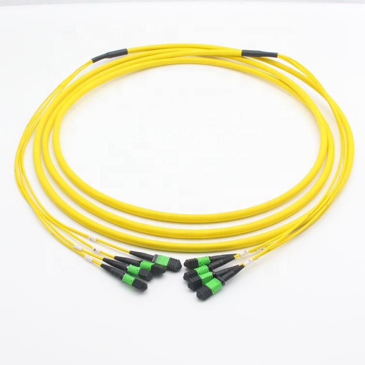 MPO / MTP Connector SM 48 Fiber Optic Patch Cord