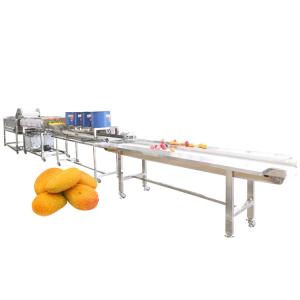Quality Hot selling Machine Cleaning Fruit With Manufacturer Price by Huafood for sale