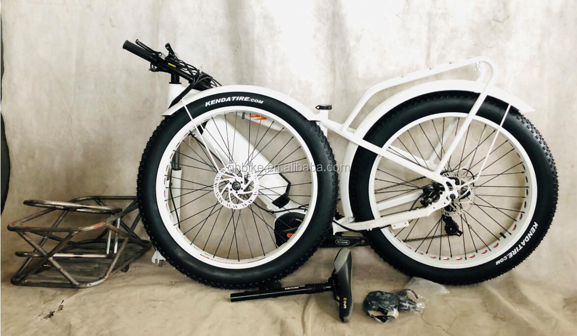 750W Front Motor 4.0 Tire Snow EN15194 Cargo Electric Cargo Tricycle with Disc Brake