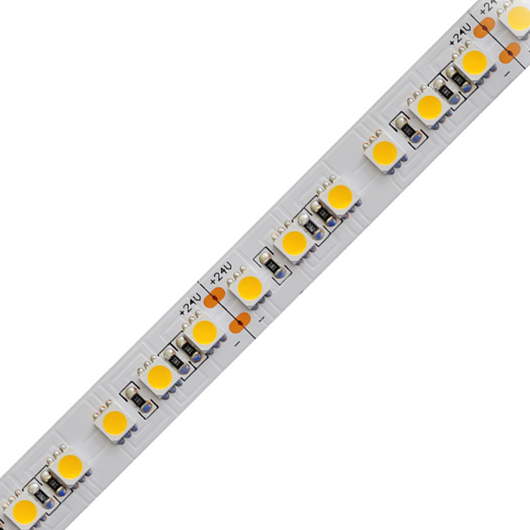 Dimmable Outdoor LED Strip Lighting 5050 Waterproof Flexible Tape 24V Exterior Cuttable